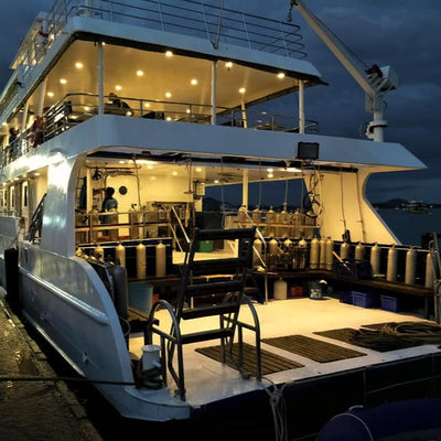 SUKELLUSSAFARI - 10 päivää/ 9 yötä - M/V ANDAMAN QUEEN - Phi Phi, Shark Point, Koh Haa, Hin Daeng, Hin Muang, Koh Lipe, Similan, Koh Bon, Tachai, Surin, Richelieu Rock  (max 32 sukellusta)